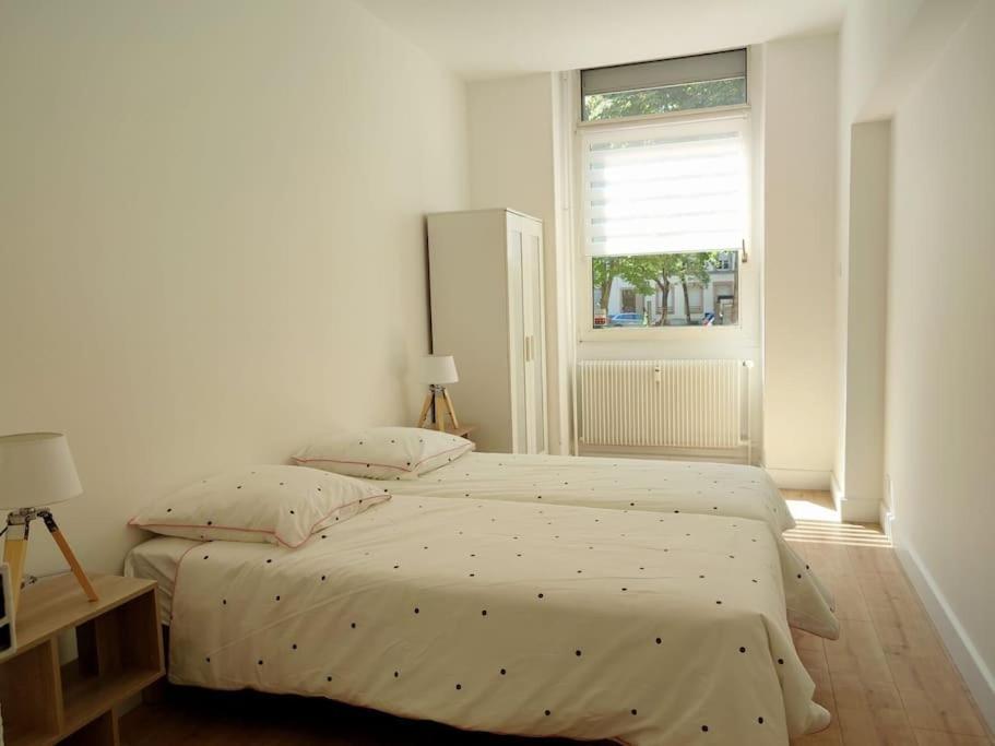 Centre Apartment Straßburg